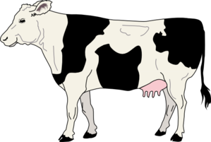 Side View Of A Cow Clip Art